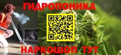 прущая мука Кингисепп