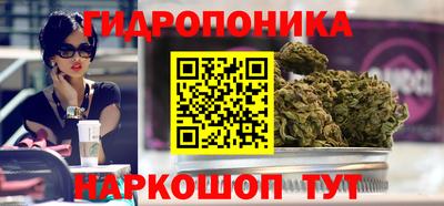 крисы Кимры